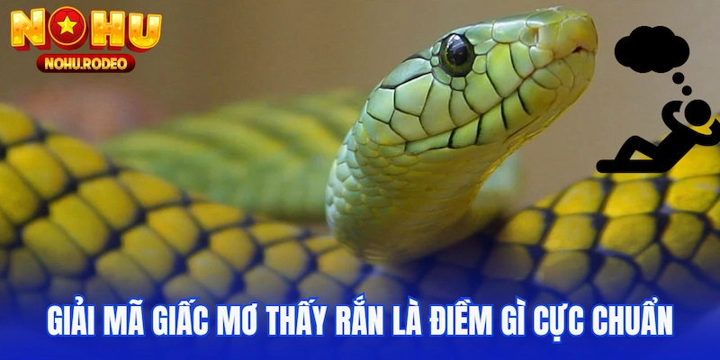 Giải mã giấc mơ thấy rắn là điềm gì cực chuẩn