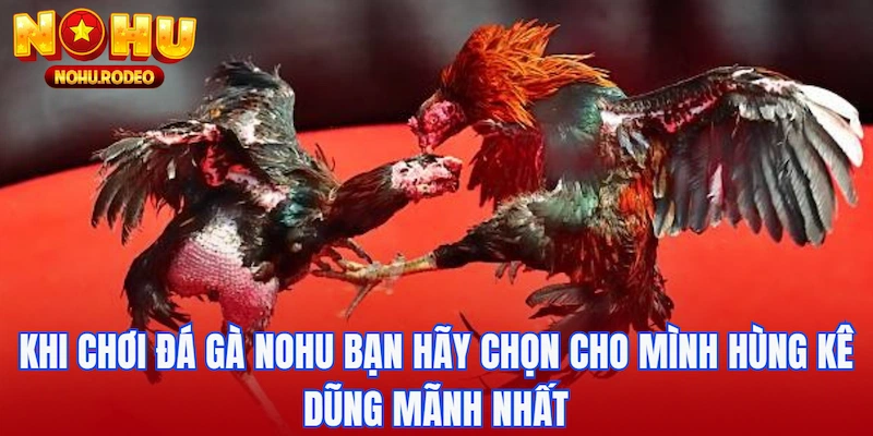 Khi chơi đá gà Nohu bạn hãy chọn cho mình hùng kê dũng mãnh nhất