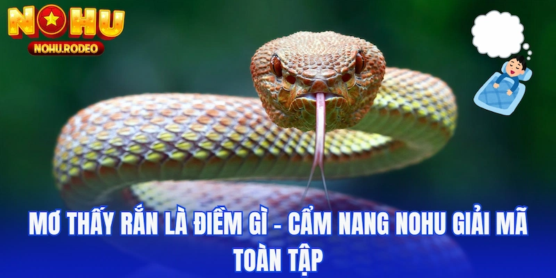 mơ thấy rắn là điềm gì