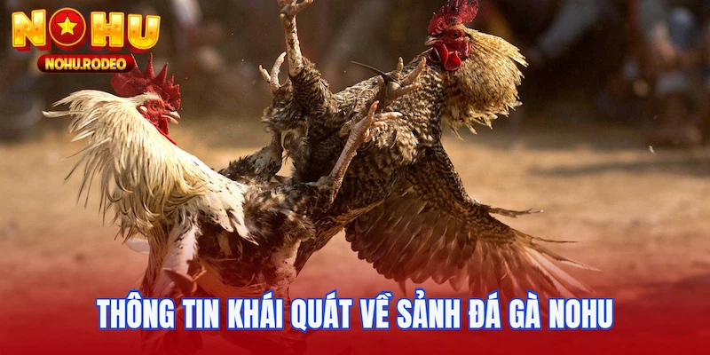 Thông tin khái quát về sảnh đá gà Nohu